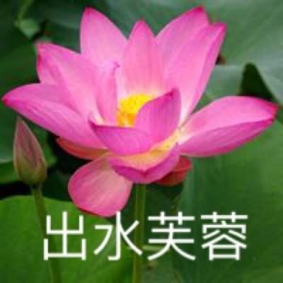 战双帕弥什体验服下载